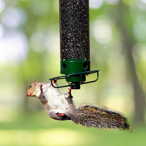 Bird Feeder Metal Squirrel Proof Hanging Outdoor Backyard Tube