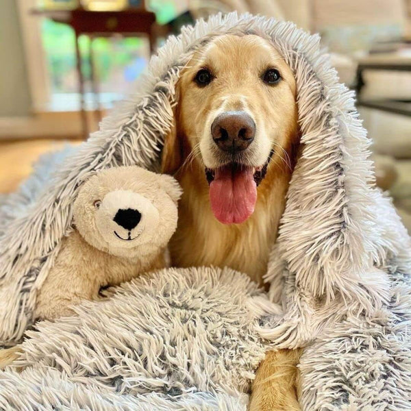 Anxiety Relieving Fluffy Soft Pet Blanket Cozy Design